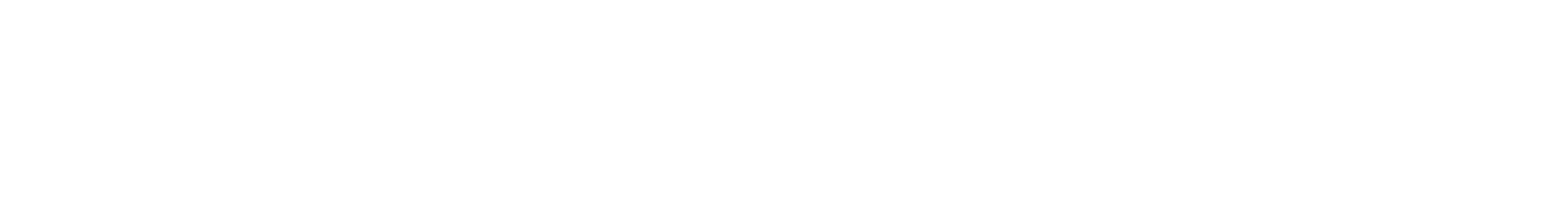Wordmark - White